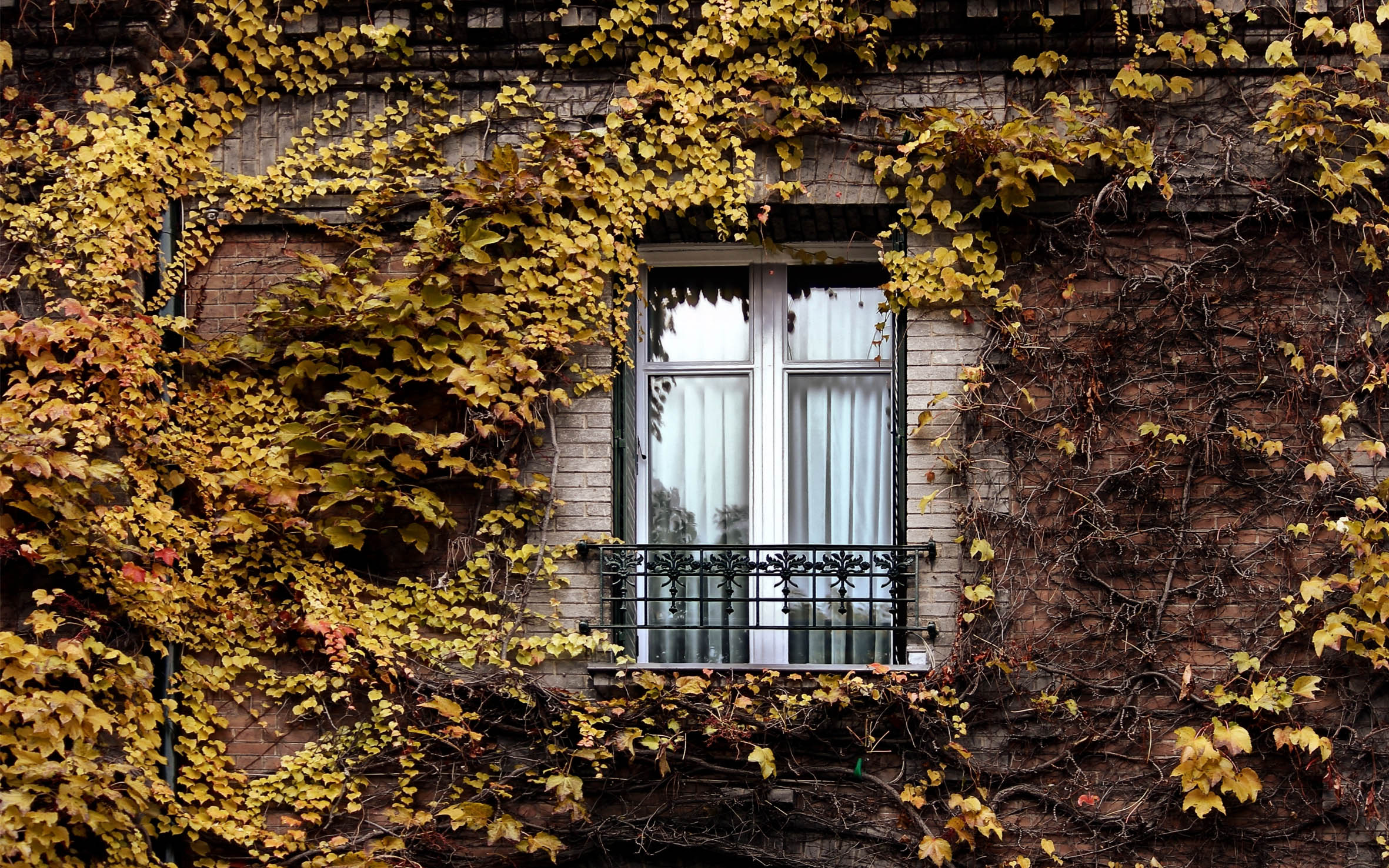 Посуточную квартиру в Киеве лучше бронировать заранее, особенно весной и осенью